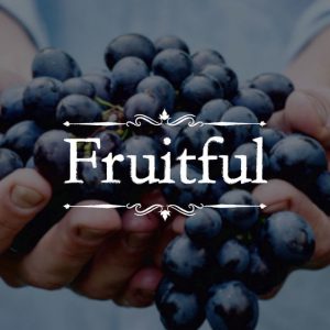 06/12/22 – Recognizing People by their Fruits (Matt 7:15-20)