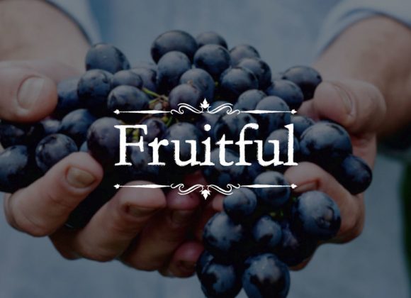 07-17-2022 Bearing Much Fruit (John 15:1-6)